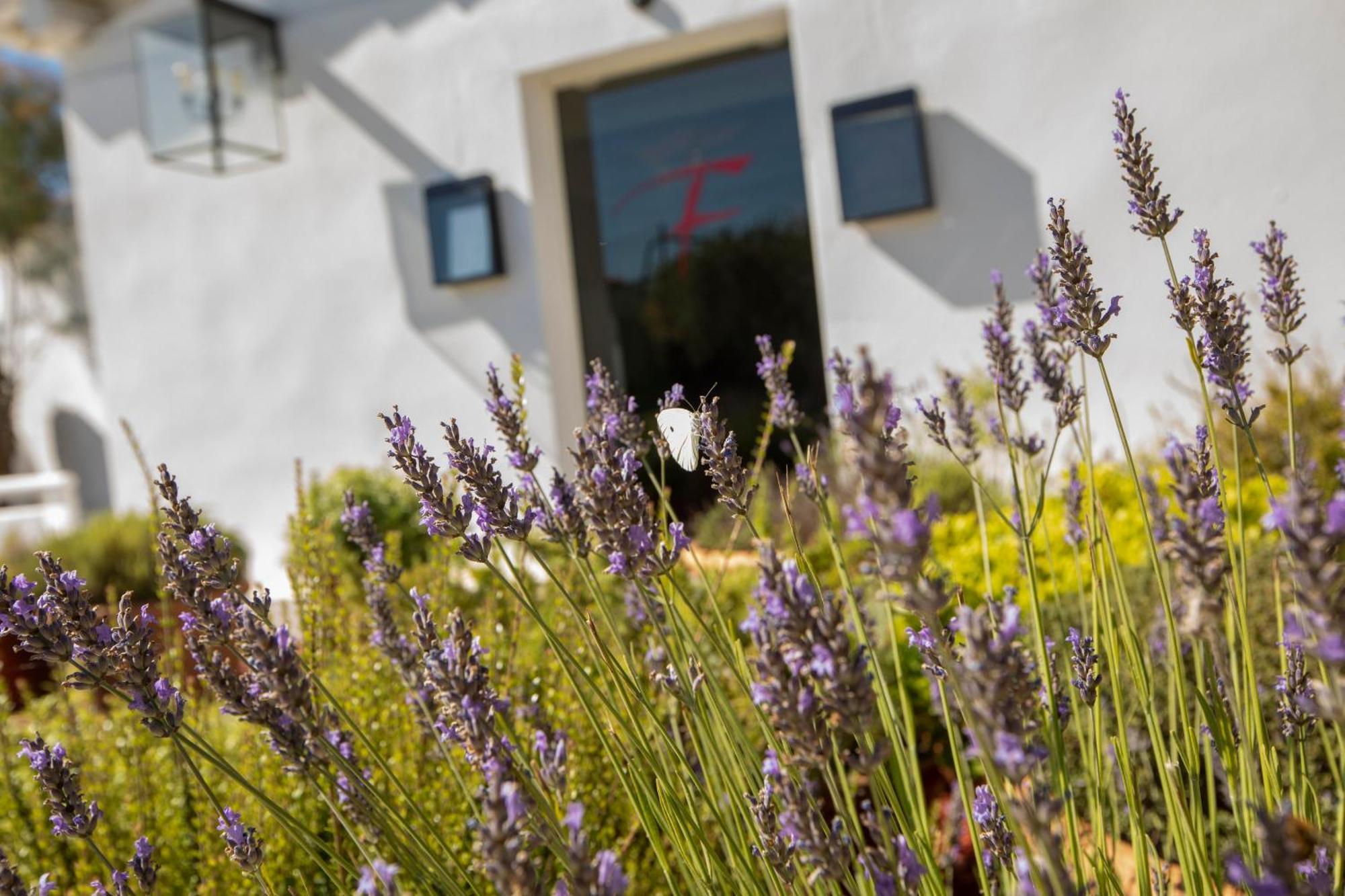 Mas de la Fouque - Hôtel&Spa Saintes-Maries-de-la-Mer Exterior foto